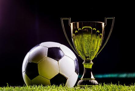 增强波兰队 增强波兰队