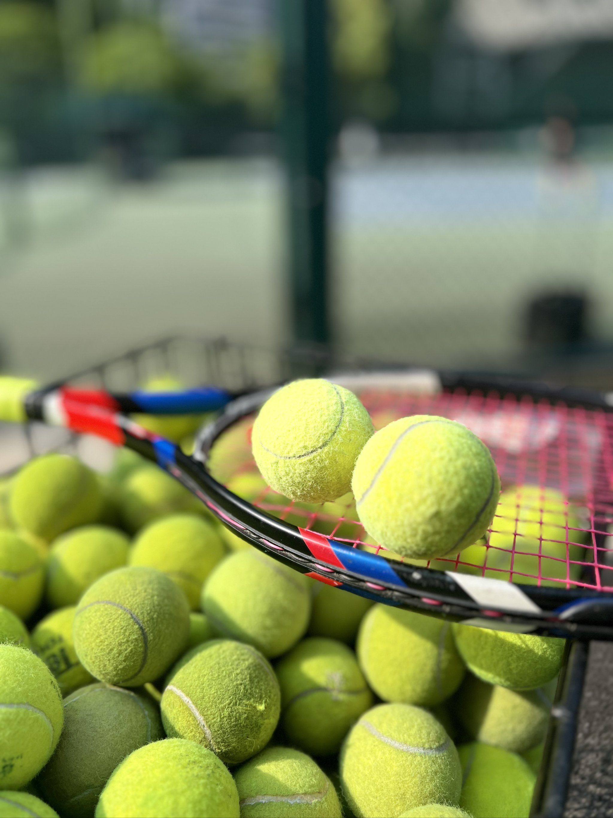 争夺上位展 争夺上位展