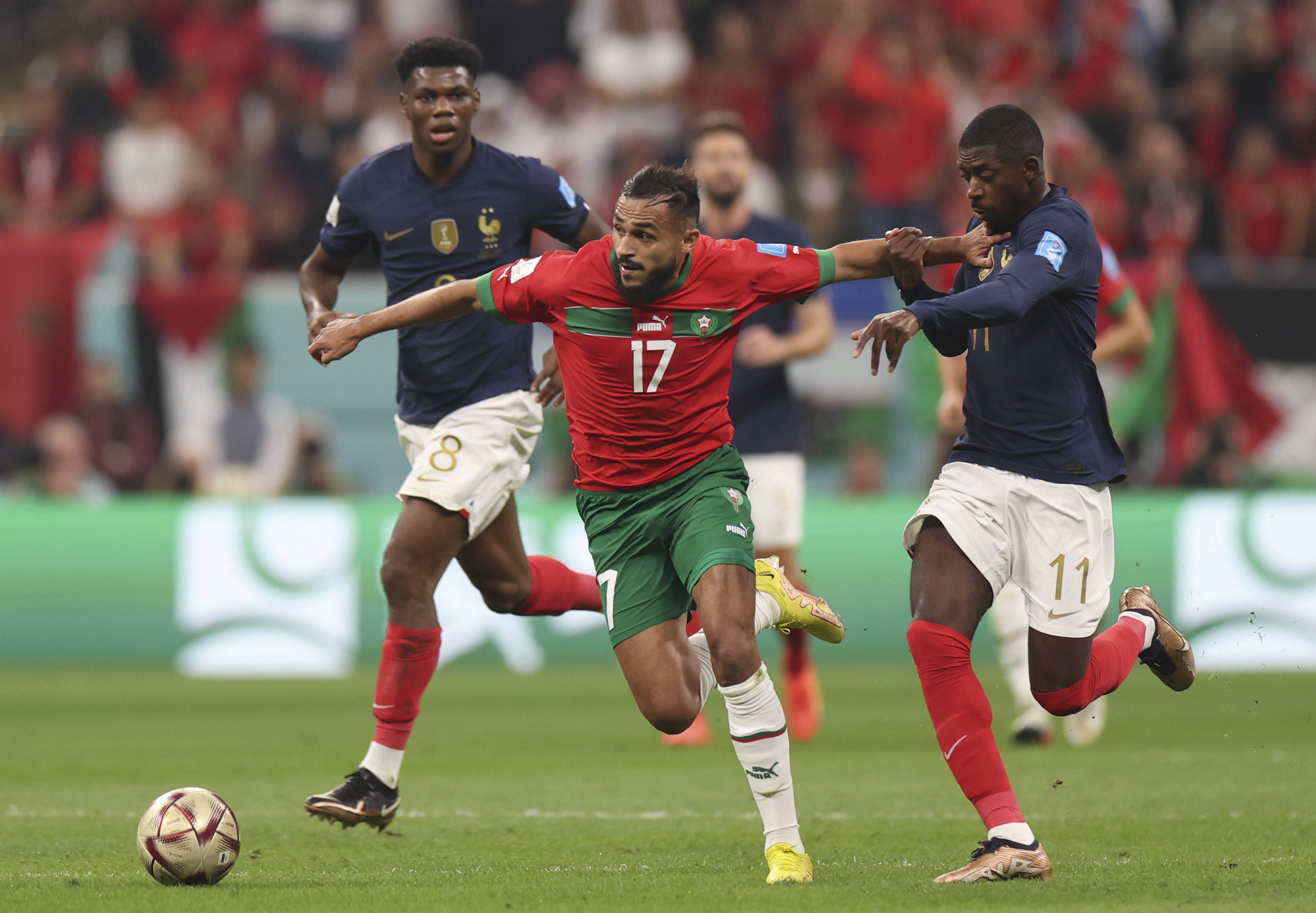 效仿瓜帅 效仿瓜帅