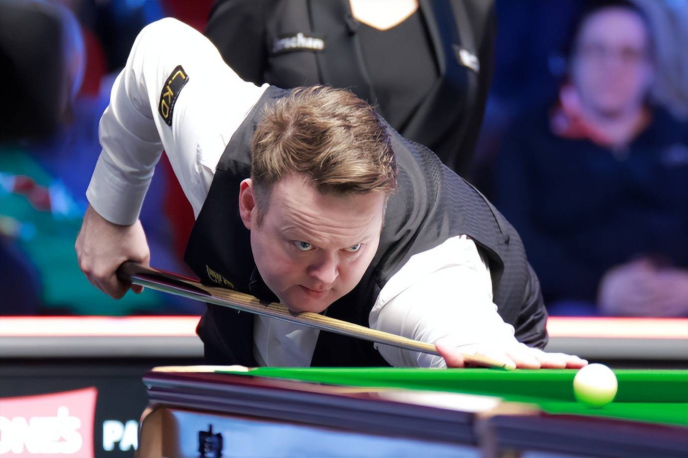 遍期待的新 遍期待的新